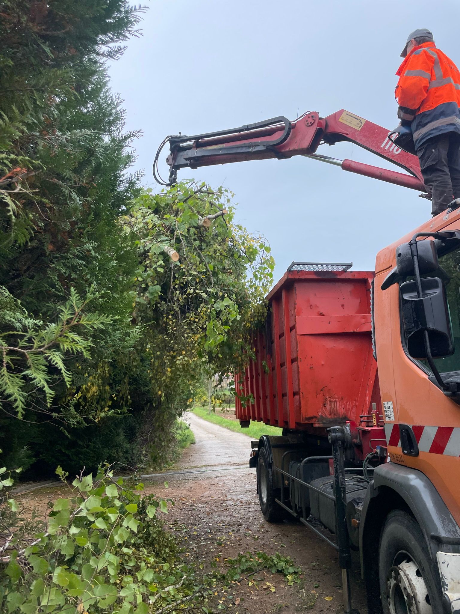 Aménagement Paysager