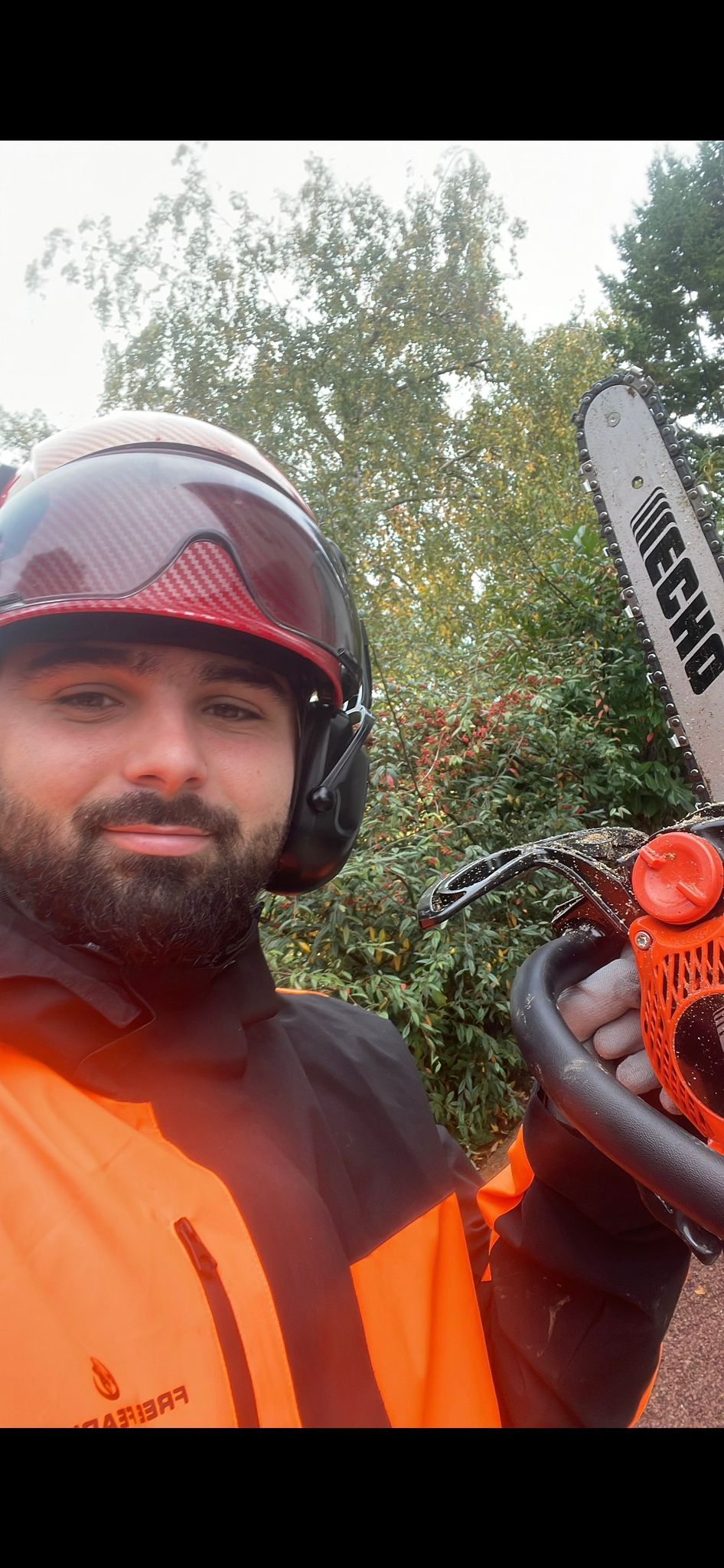 BP Elagage Paysagiste